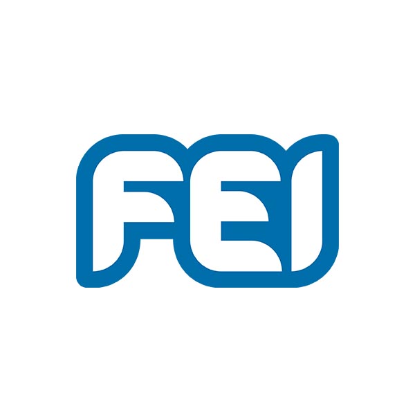 _0010_Logo_FEI (1)